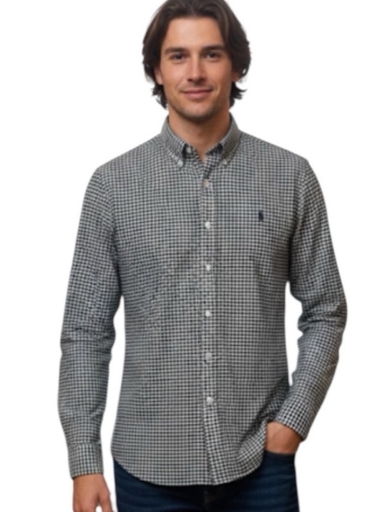 Ralph Lauren Other - Ralph Lauren Button Down Shirt Large Custom Fit Green Cream Gingham Check
BB